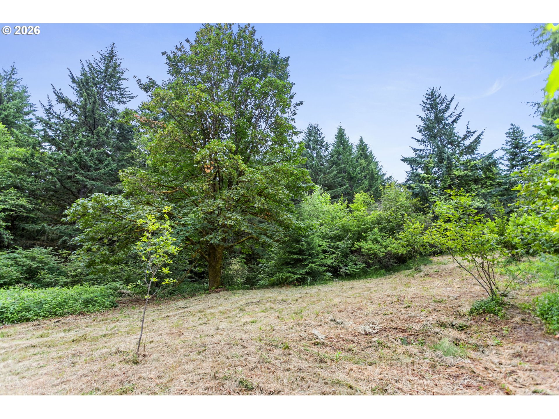 56570 Northwest Strassel Road Forest Grove, OR 97116 - Photo 13 of 21