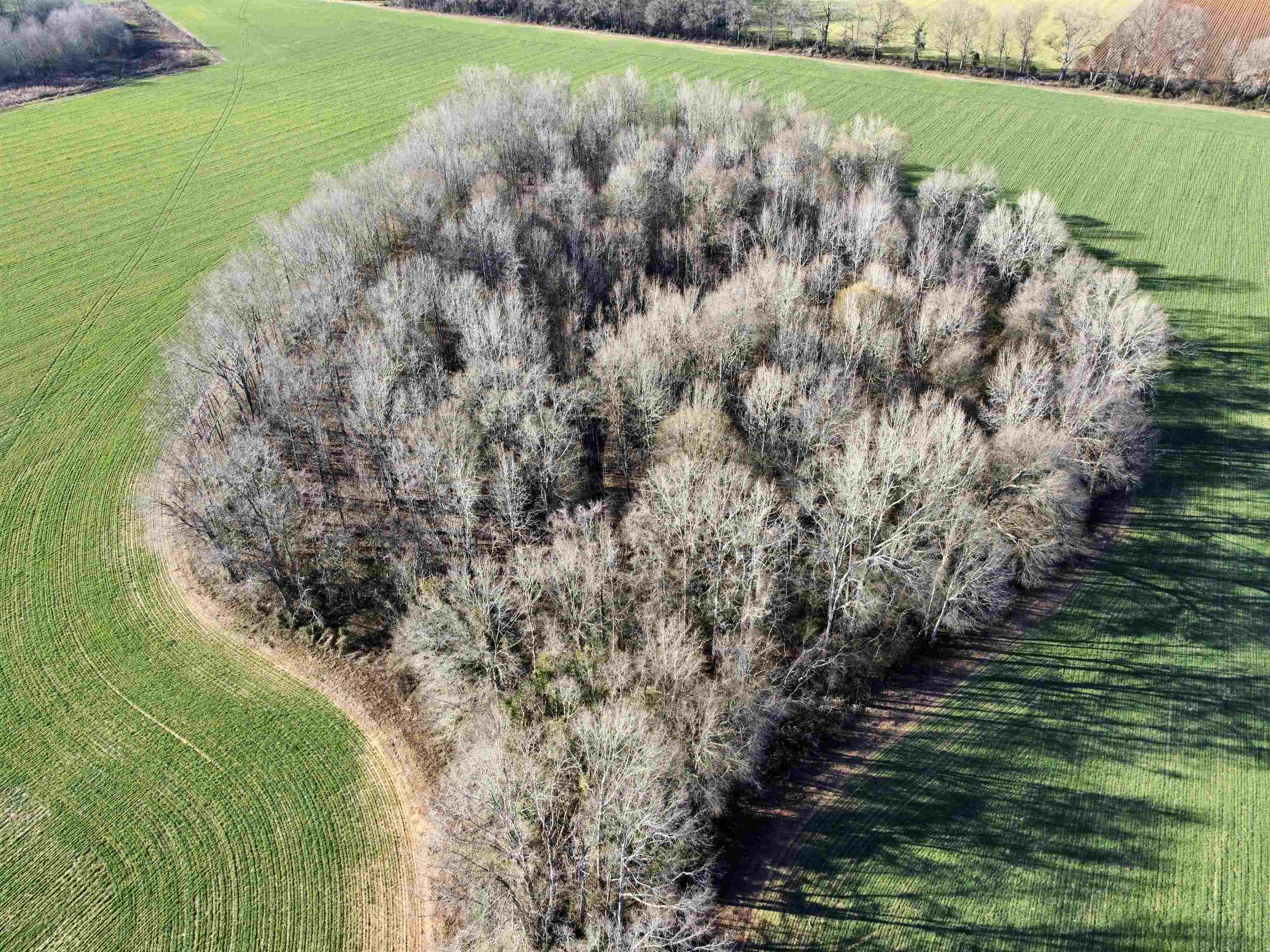 0 Country Road Atmore, AL 36502 - Photo 22 of 27