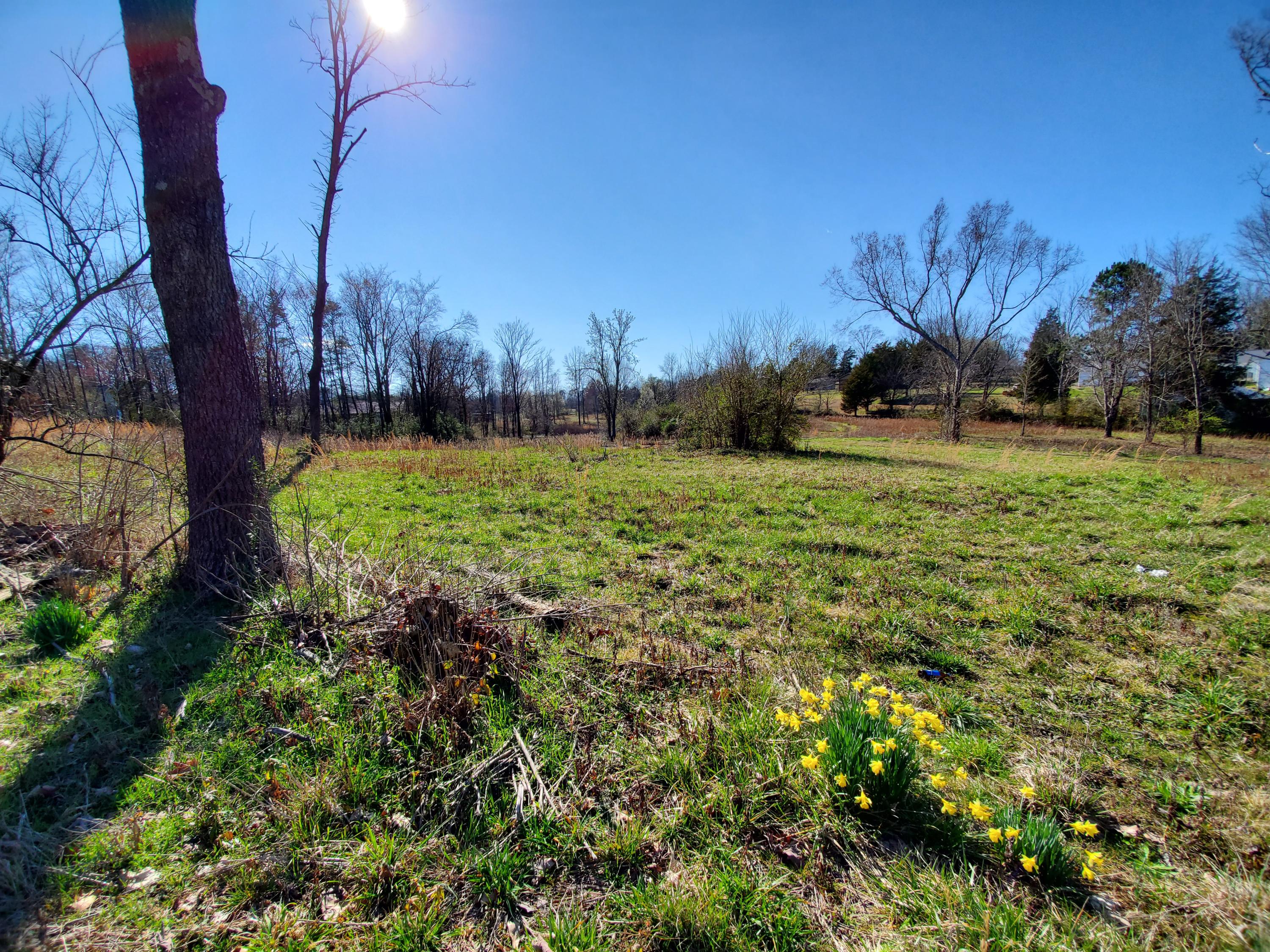 2933 Montvale Road Maryville, TN 37803 - Photo 1 of 28 Montvale Rd view of 5.5+ acre parcel