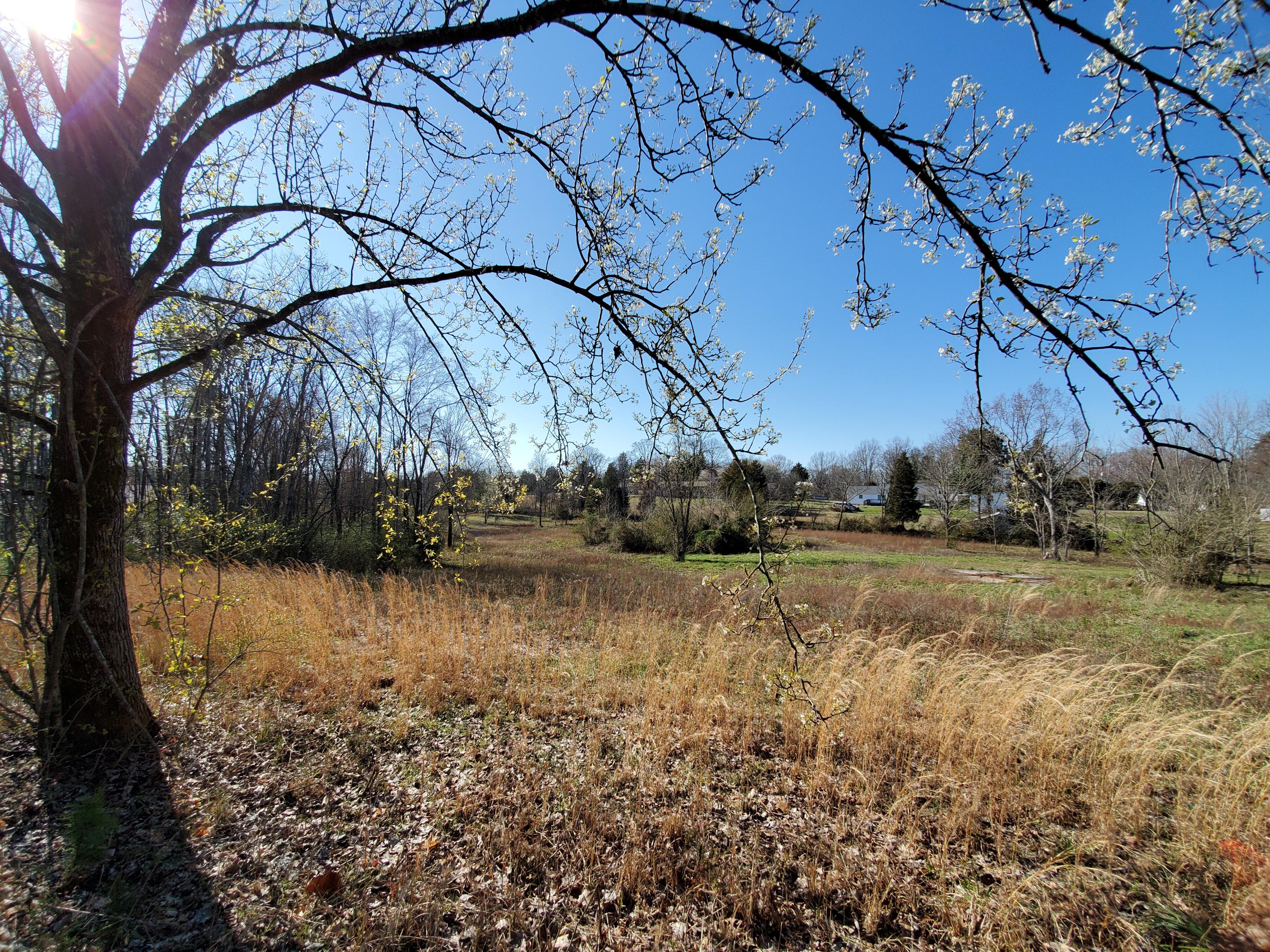 2933 Montvale Road Maryville, TN 37803 - Photo 14 of 28 Wide open spaces