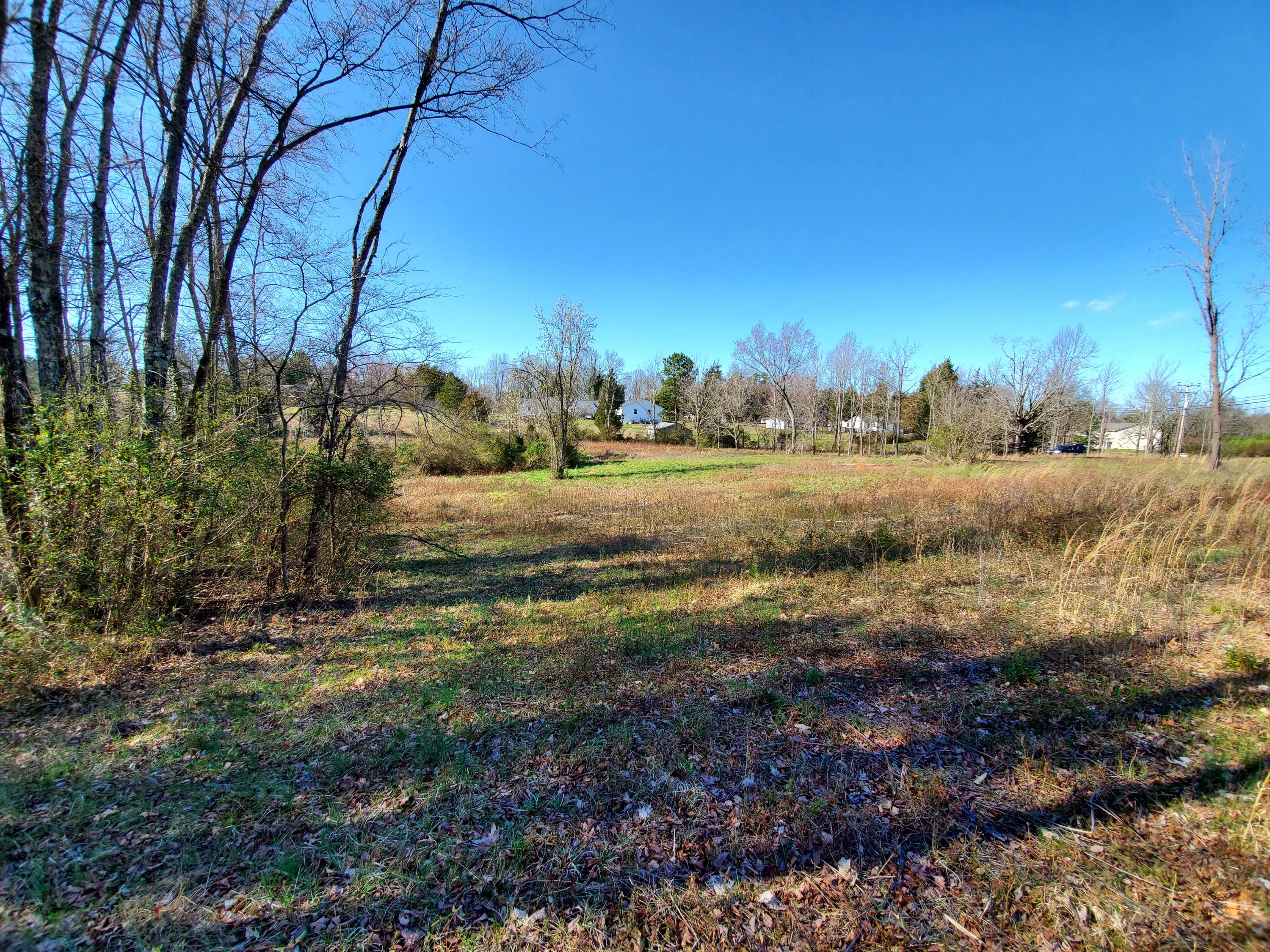 2933 Montvale Road Maryville, TN 37803 - Photo 15 of 28 Beautiful gently rolling tract