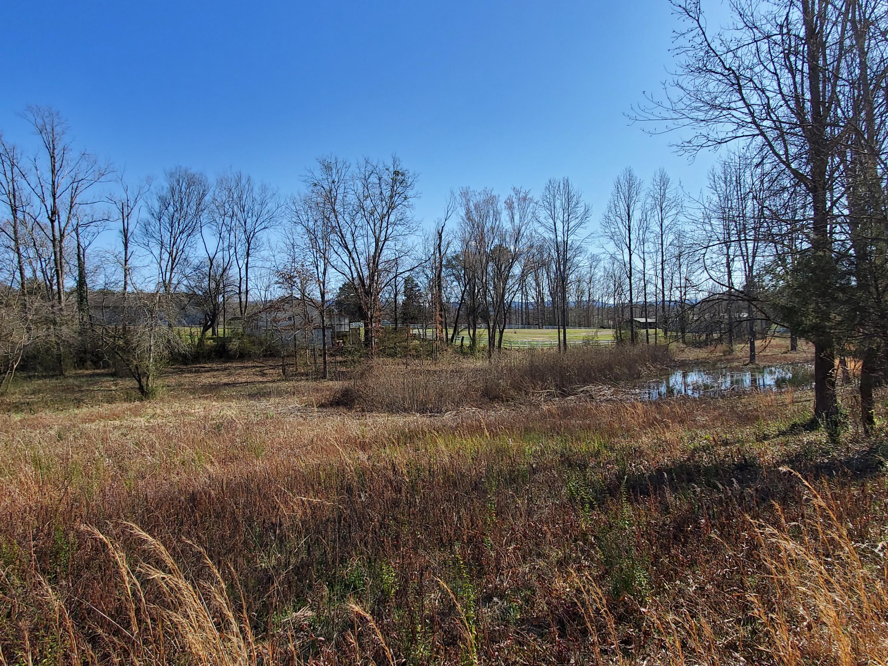 2933 Montvale Road Maryville, TN 37803 - Photo 16 of 28 Gently rolling with pond