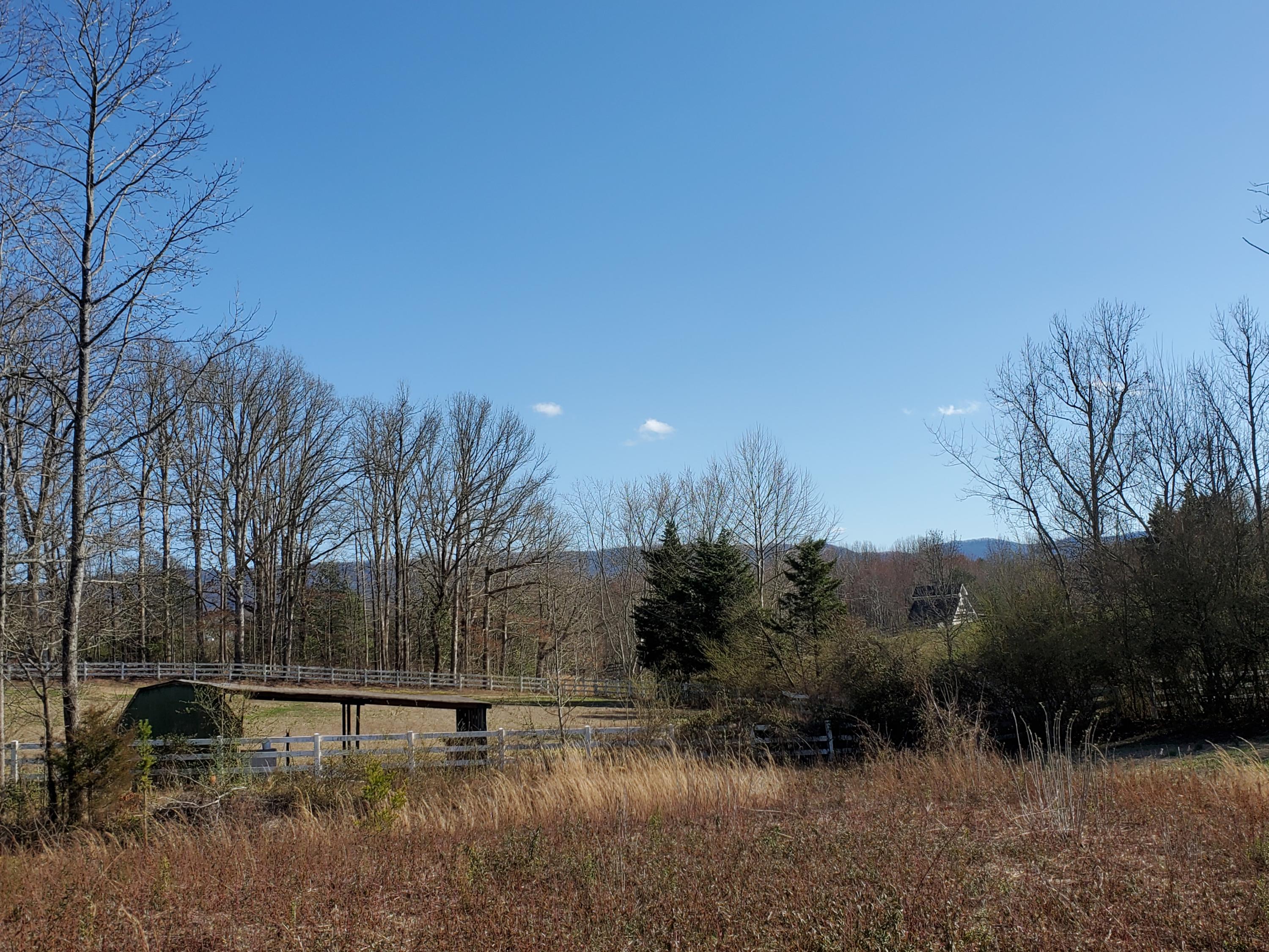 2933 Montvale Road Maryville, TN 37803 - Photo 19 of 28 View from back of parcel