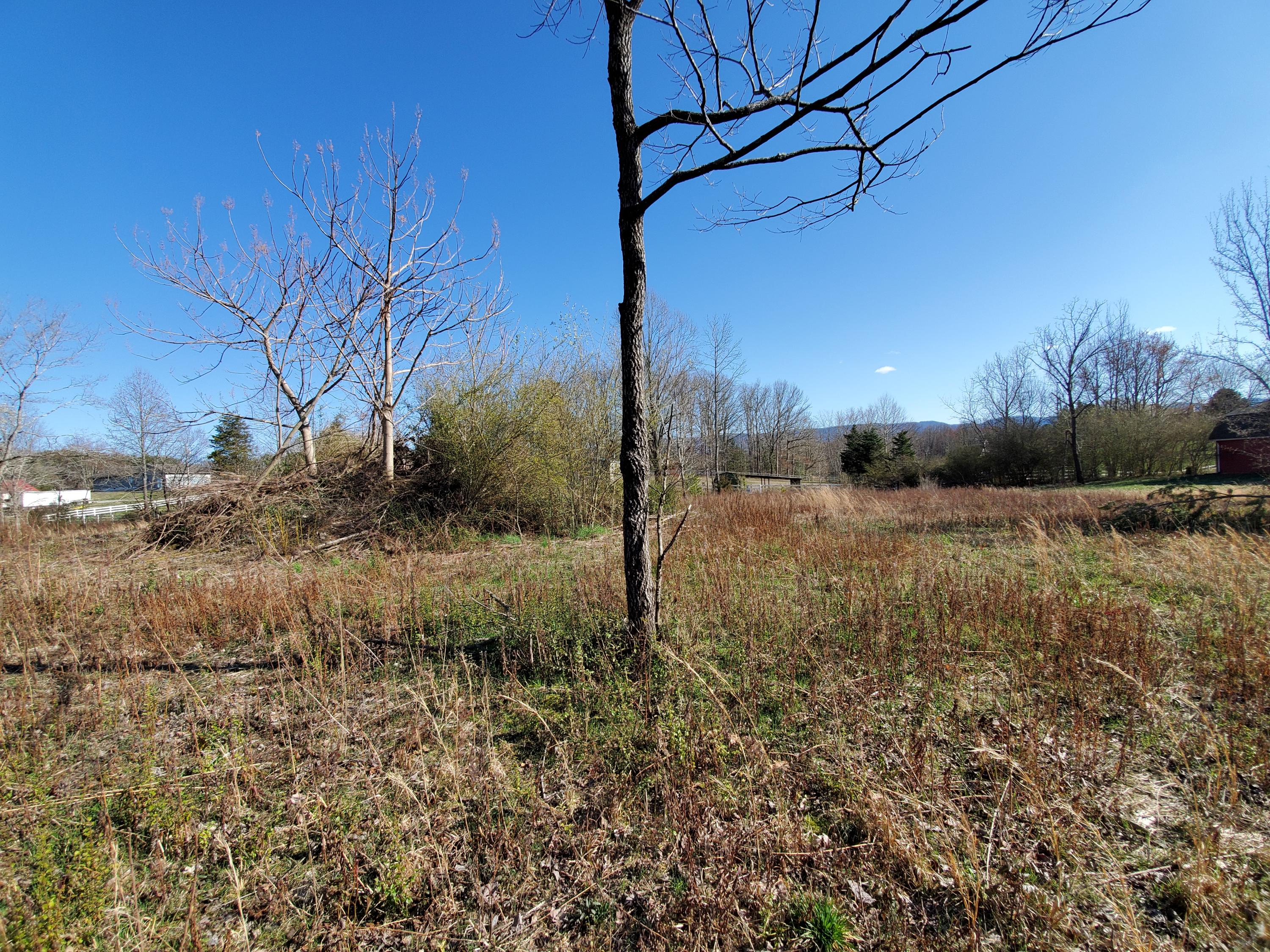 2933 Montvale Road Maryville, TN 37803 - Photo 20 of 28 Trees retained for natural shade