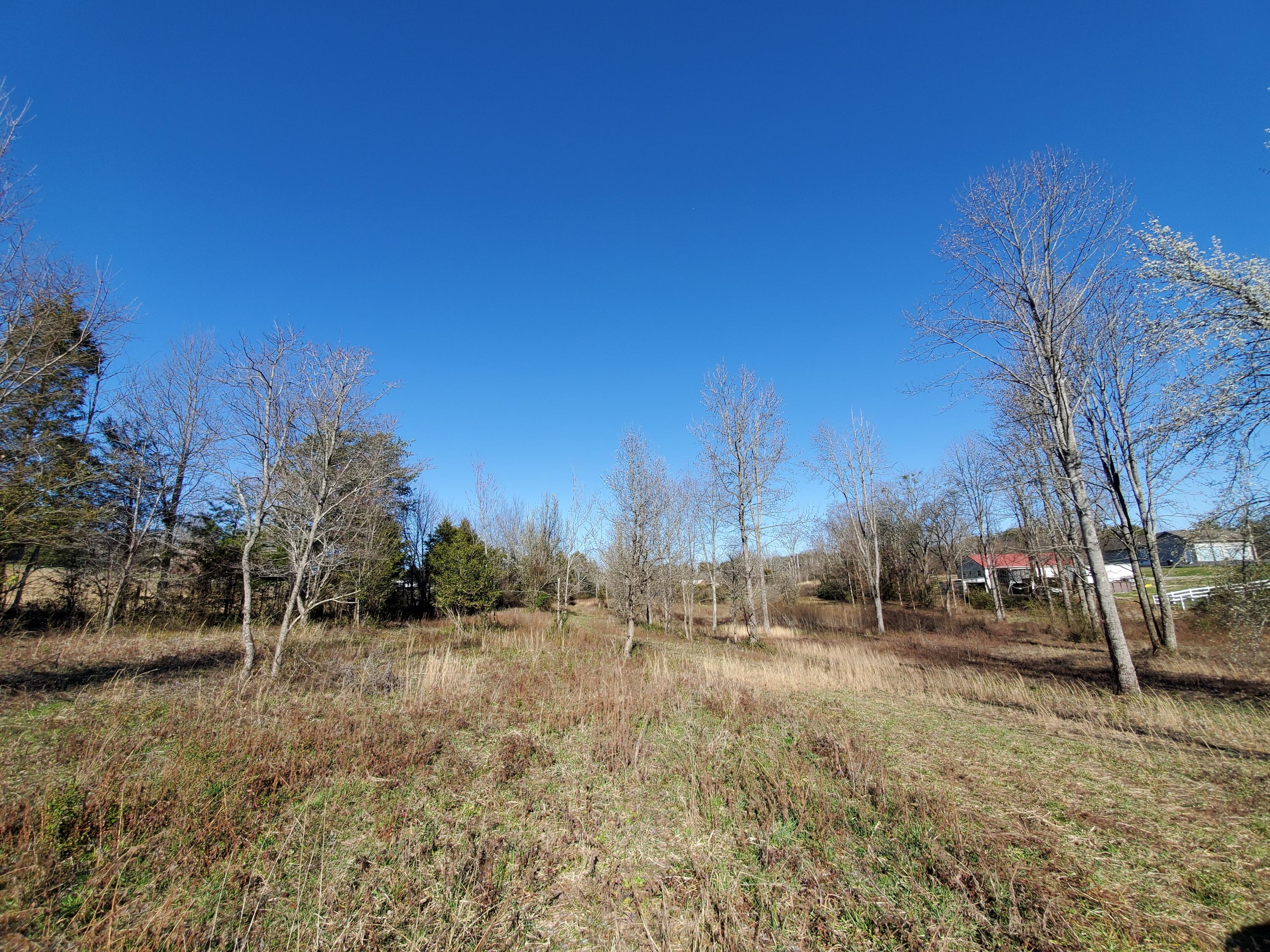 2933 Montvale Road Maryville, TN 37803 - Photo 21 of 28 Area in rear with seasonal mtn view