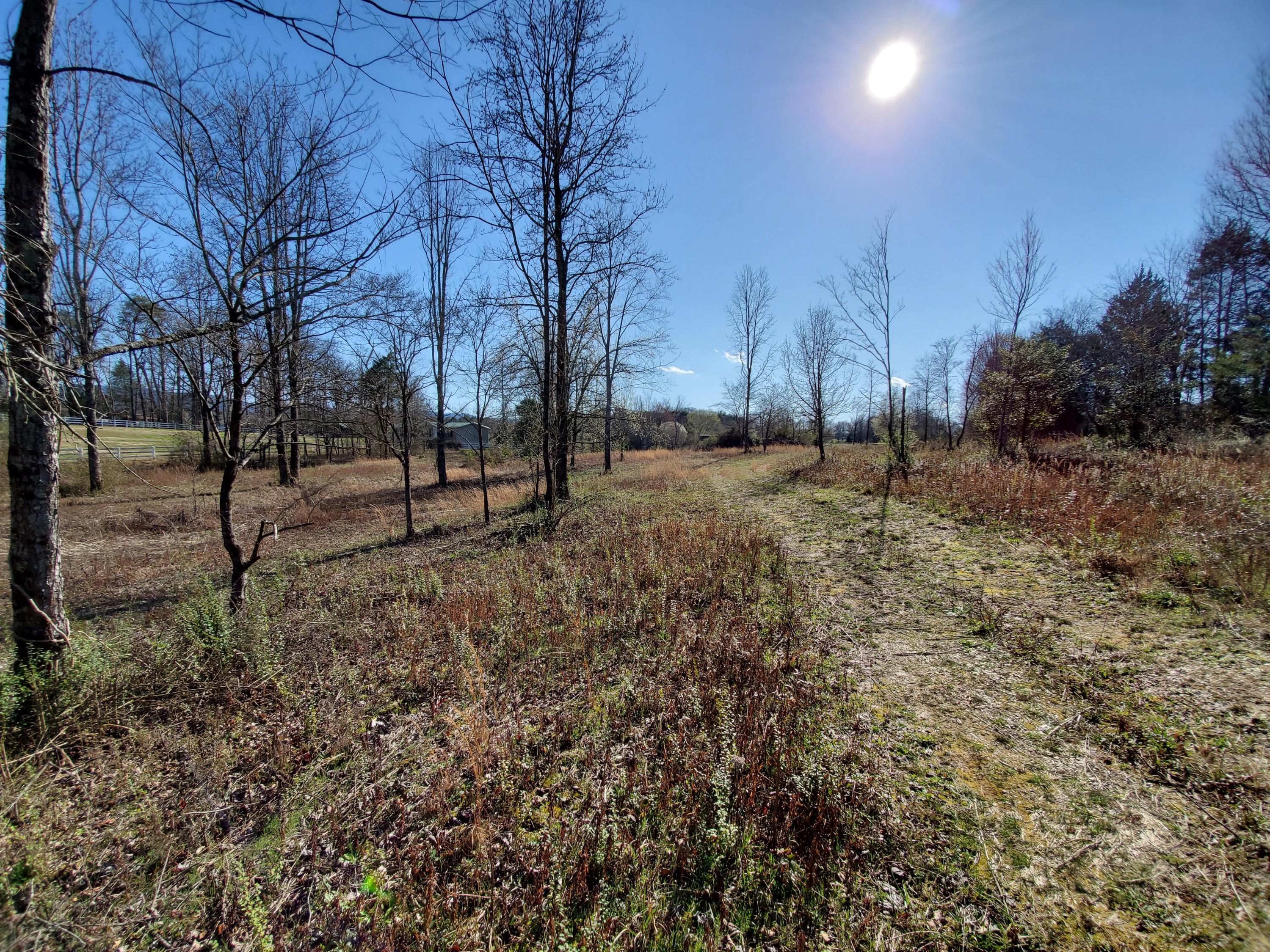2933 Montvale Road Maryville, TN 37803 - Photo 22 of 28 stay to far right on path