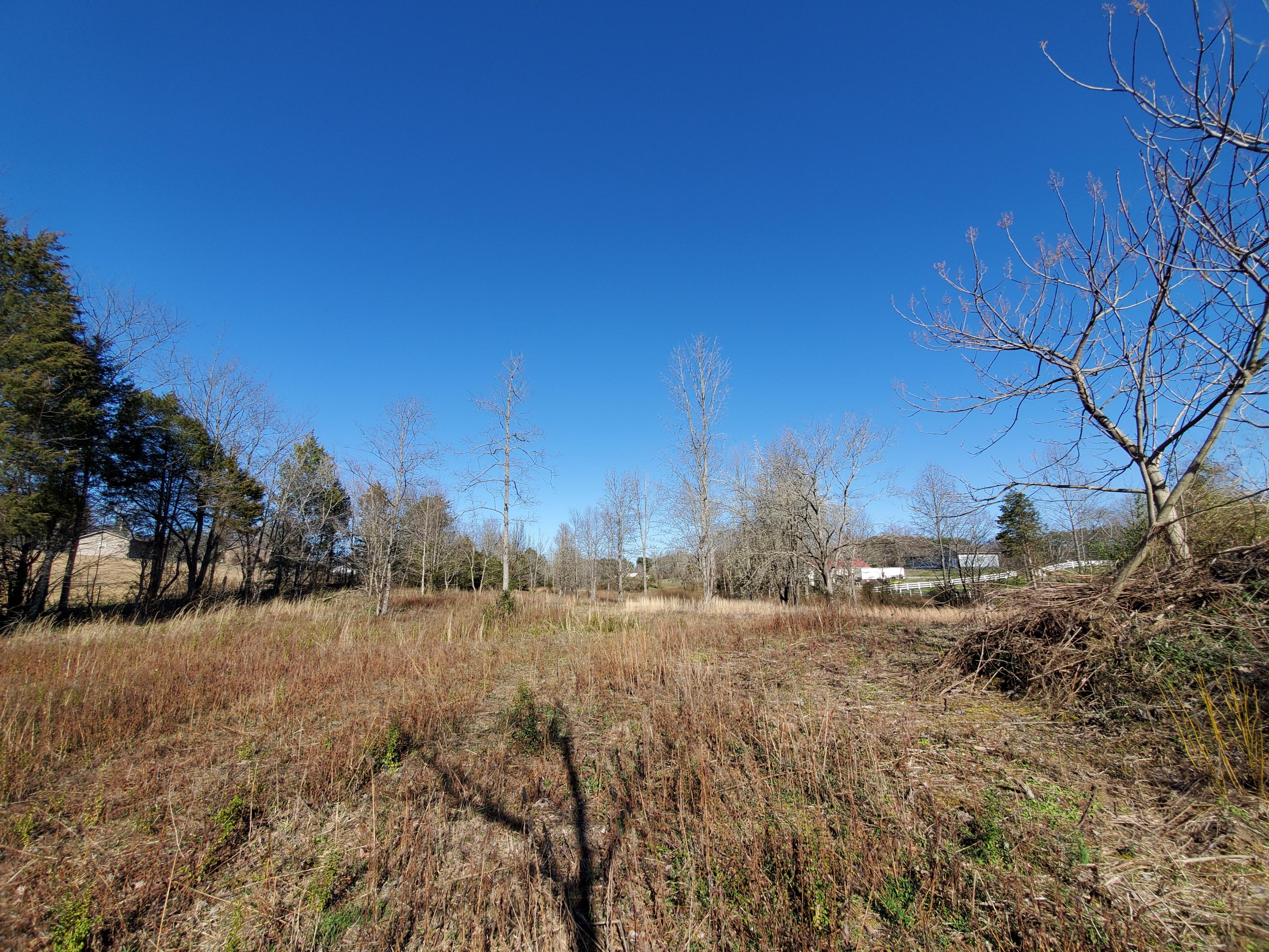 2933 Montvale Road Maryville, TN 37803 - Photo 8 of 28 Rear of 5.5+ acres towards Montvale