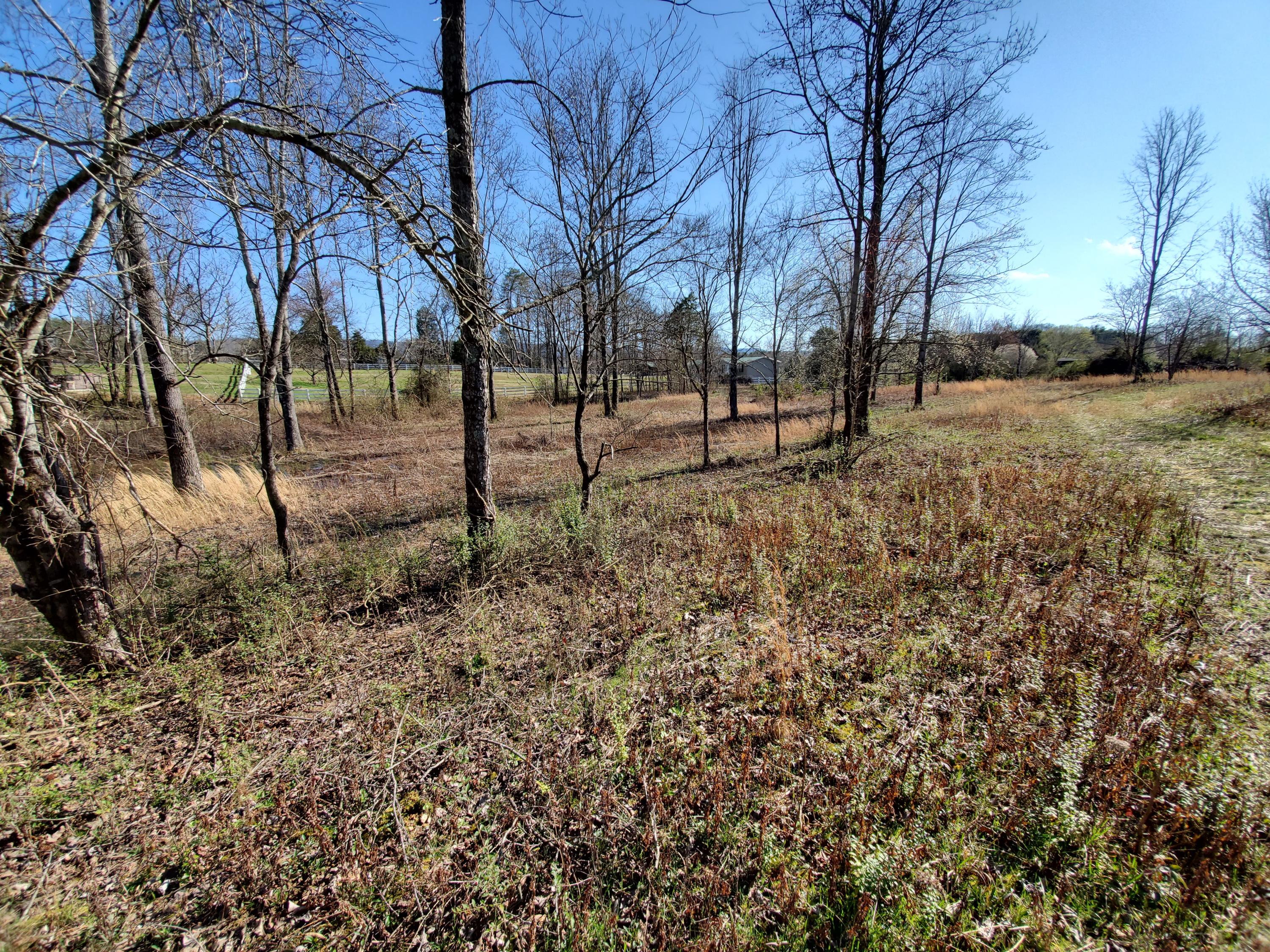 2933 Montvale Road Maryville, TN 37803 - Photo 9 of 28 Fence it in...