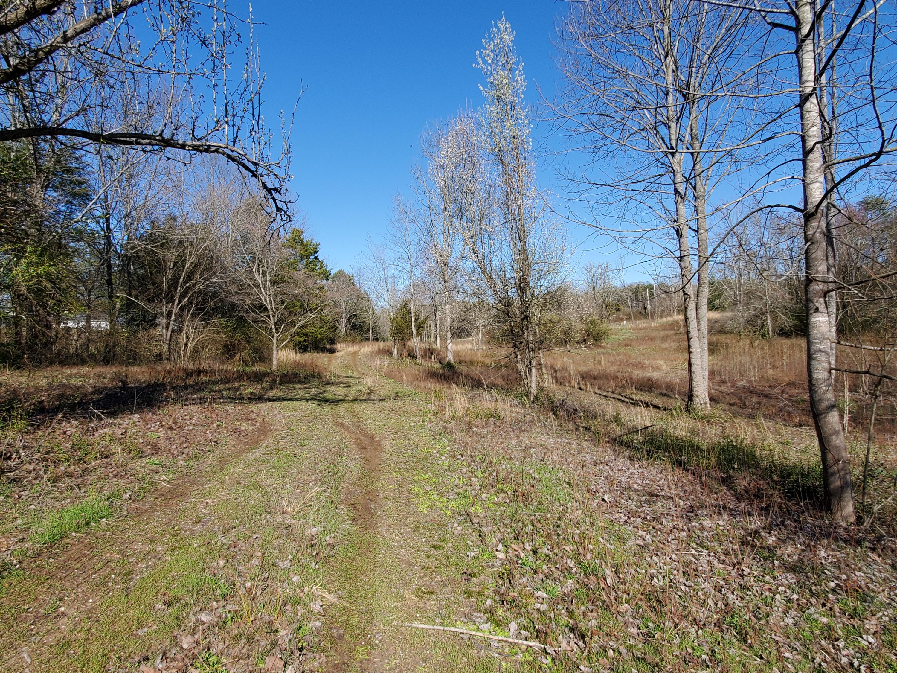 2933 Montvale Road Maryville, TN 37803 - Photo 10 of 28 Drive along right section