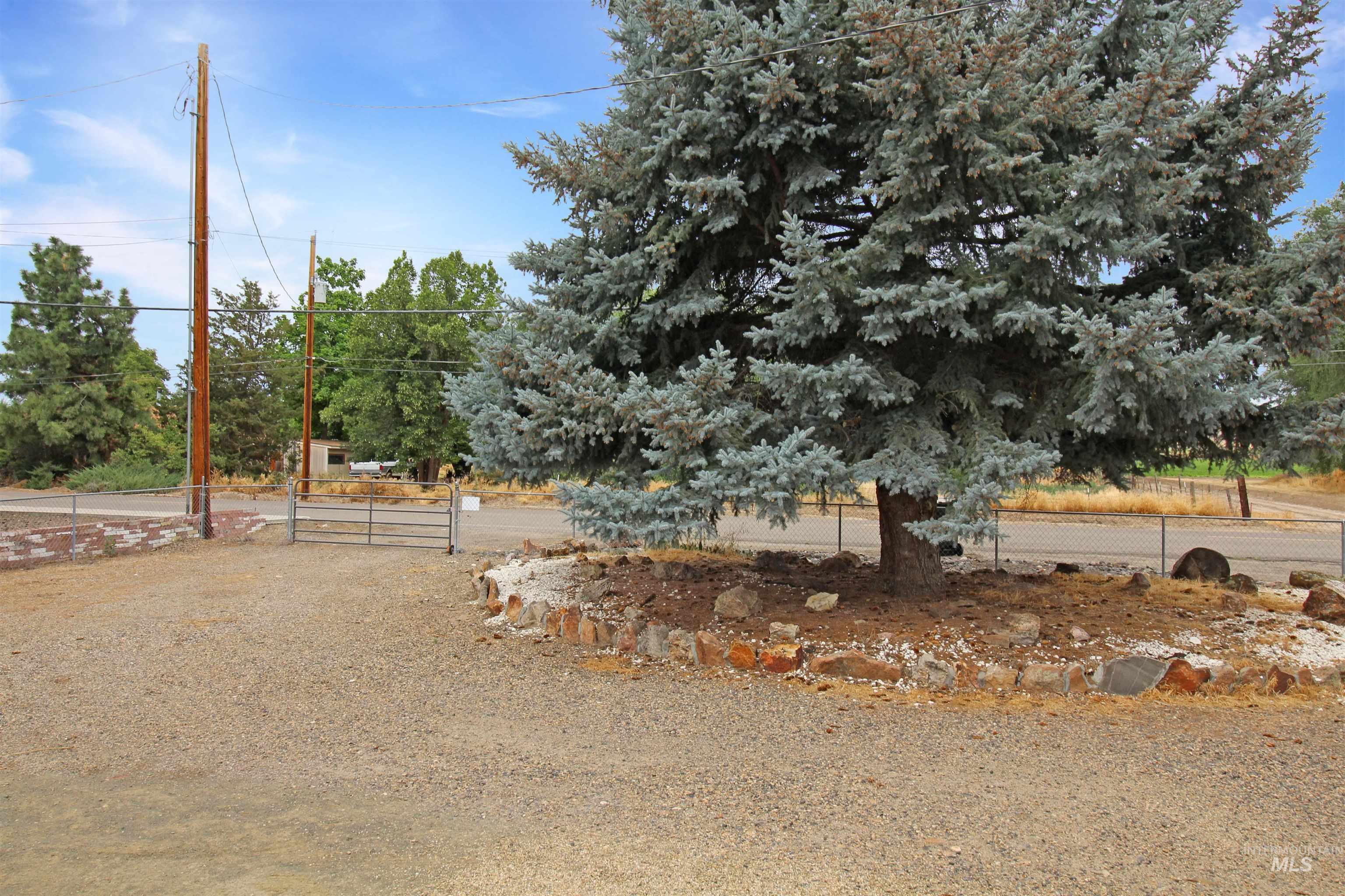 1265 Pioneer Road Weiser, ID 83672 - Photo 3 of 29 Gravel driveway leading to a metal gate, bordered by a large evergreen tree and natural rock landscaping