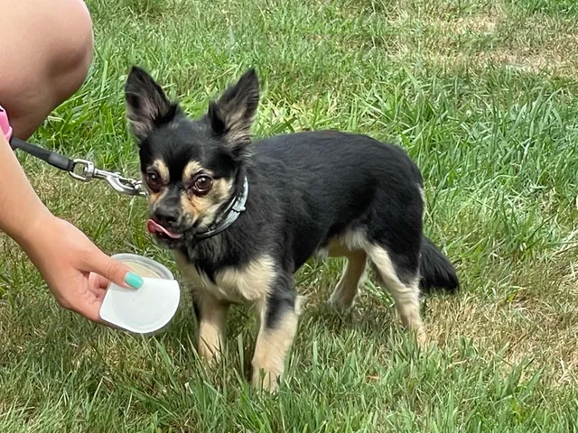 $1,831 | 119 Eastern Avenue, Unit 301, Manchester, NH 03104