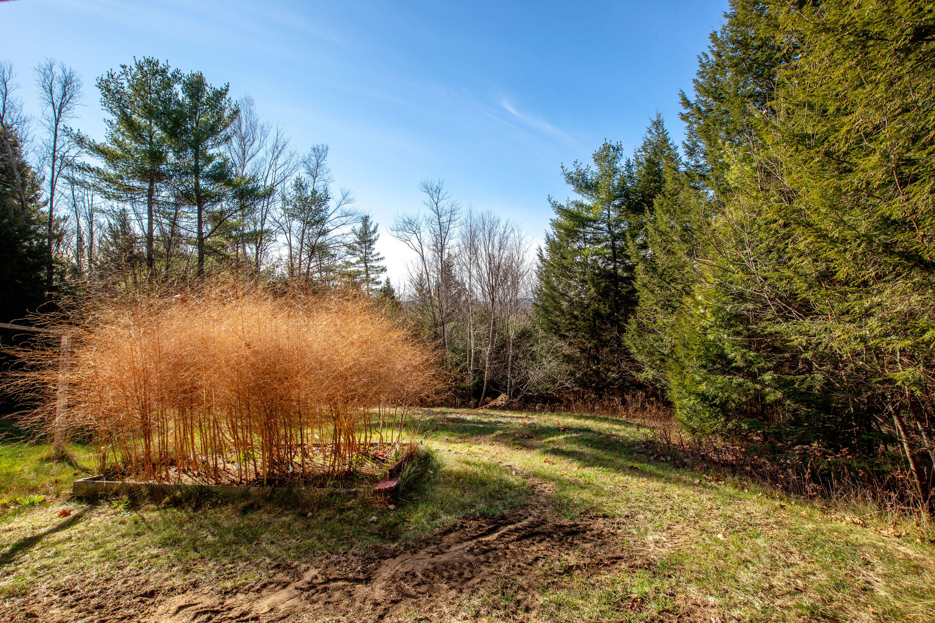 227 Sumner Road Hartford, ME 04220 - Photo 43 of 48 Sumner_Letourneau_51