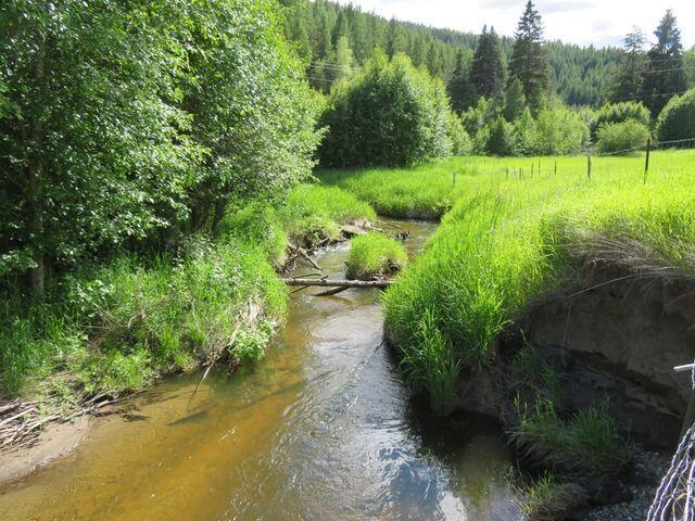 839 Trout Crk Road Republic, WA 99166 - Photo 13 of 50