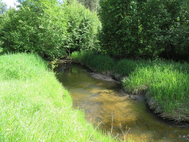 839 Trout Crk Road Republic, WA 99166 - Photo 14 of 50