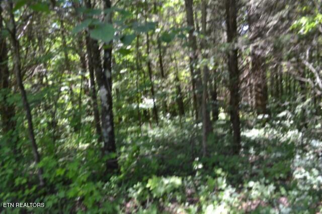 2390 Pea Ridge Fire Tower Road Celina, TN 38551 - Photo 20 of 58 DSC_0095