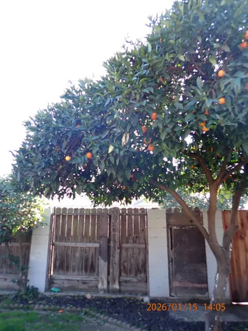 $399,000 | 1306 Joni Avenue, Modesto, CA 95350