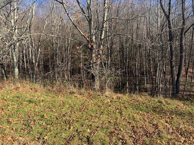 1139 Big Valley Road Warm Springs, VA 24484 - Photo 11 of 22