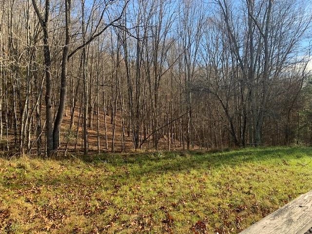 1139 Big Valley Road Warm Springs, VA 24484 - Photo 12 of 22