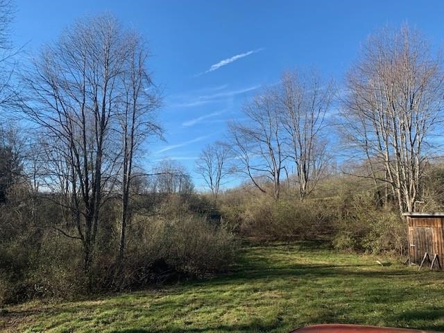 1139 Big Valley Road Warm Springs, VA 24484 - Photo 4 of 22