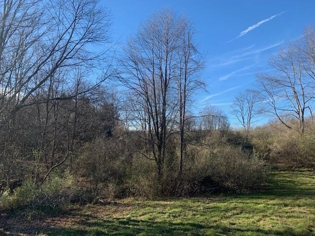 1139 Big Valley Road Warm Springs, VA 24484 - Photo 5 of 22