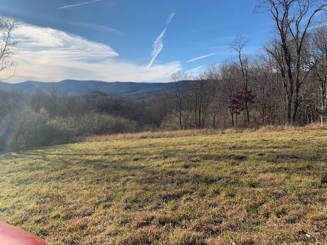 1139 Big Valley Road Warm Springs, VA 24484 - Photo 6 of 22