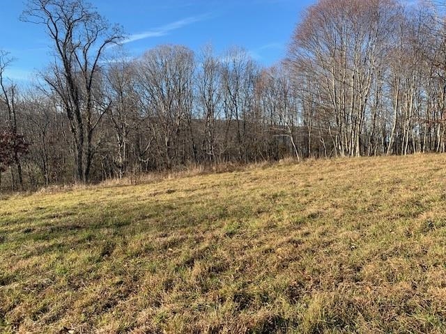 1139 Big Valley Road Warm Springs, VA 24484 - Photo 7 of 22