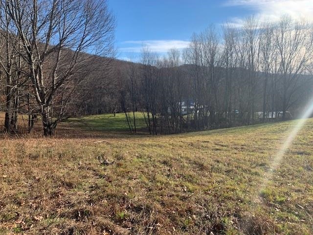 1139 Big Valley Road Warm Springs, VA 24484 - Photo 8 of 22