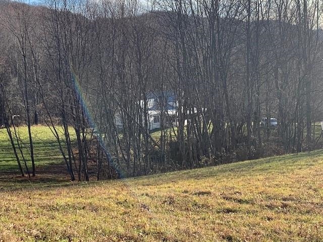 1139 Big Valley Road Warm Springs, VA 24484 - Photo 9 of 22