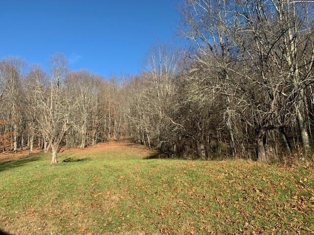 1139 Big Valley Road Warm Springs, VA 24484 - Photo 10 of 22