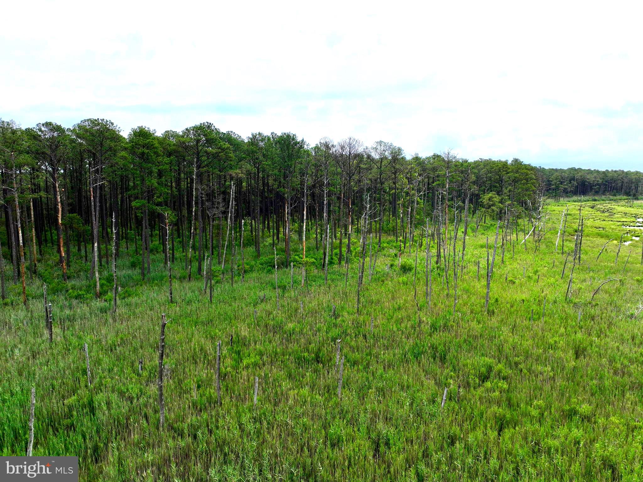 0 Hooper Neck Road Madison, MD 21648 - Photo 36 of 129