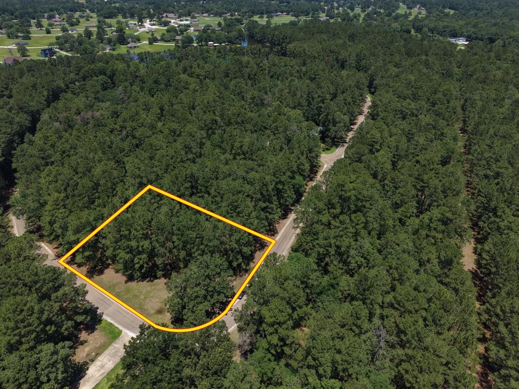Lot 19 B H Carroll Street Trinity, TX 75862 - Photo 2 of 14