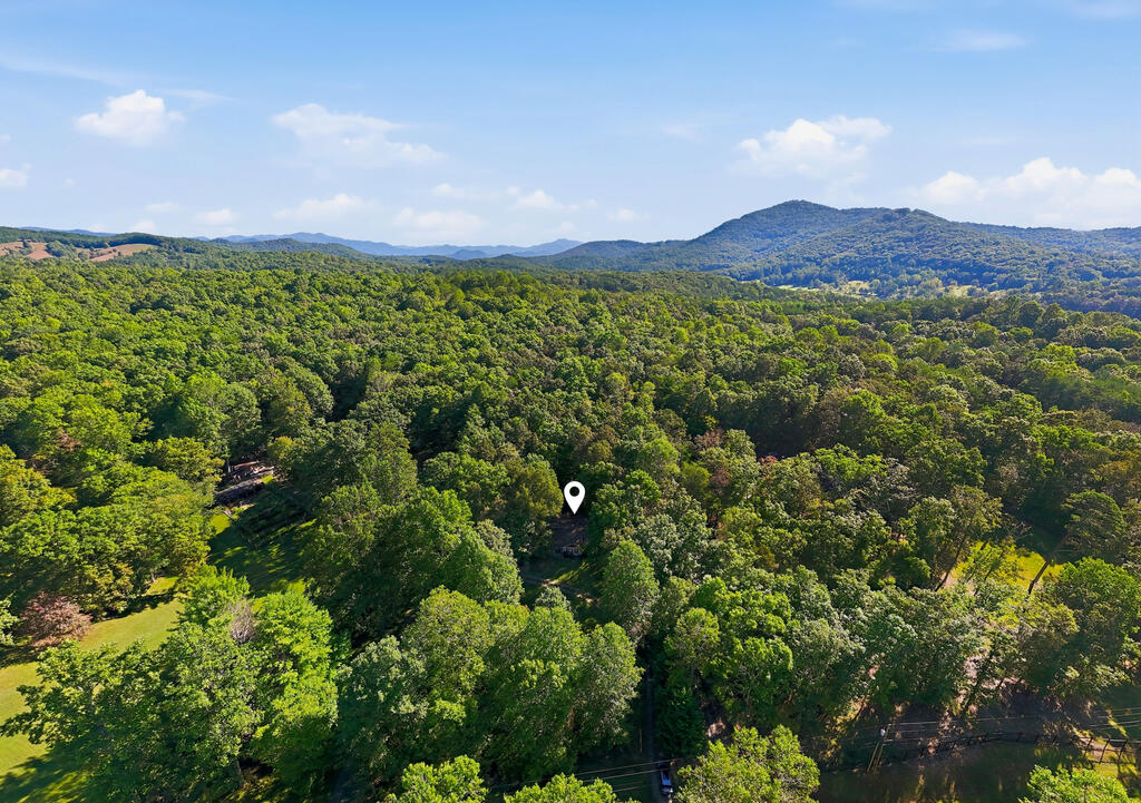 654 Ford Road Warne, NC 28909 - Photo 60 of 61 Gallery Image 60