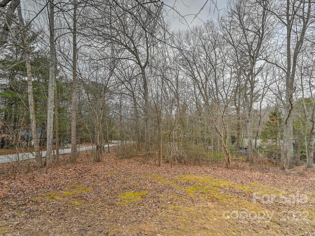 180 Weston Road Arden, NC 28704 - Photo 29 of 30 Gallery Image 29
