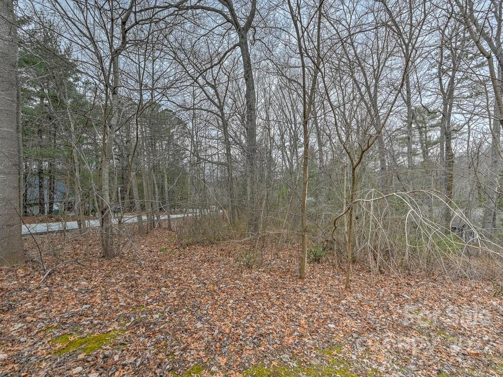 180 Weston Road Arden, NC 28704 - Photo 30 of 30 Gallery Image 30