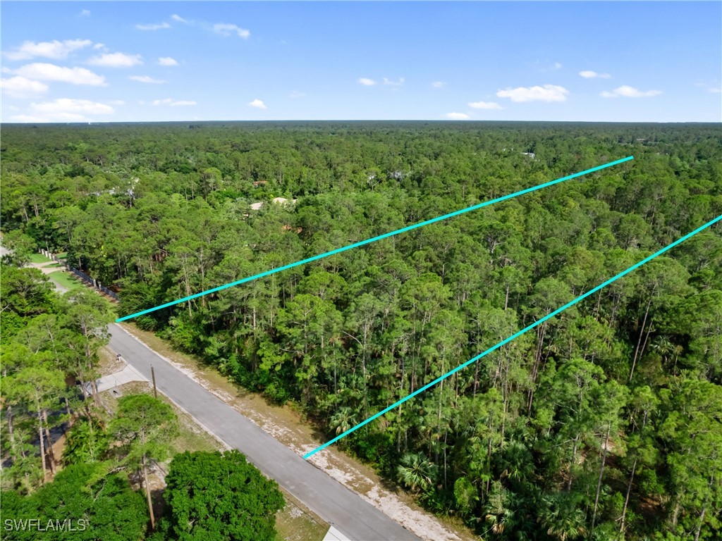 3rd Avenue Southwest Naples, FL 34117 - Photo 1 of 20 Gallery Image 1