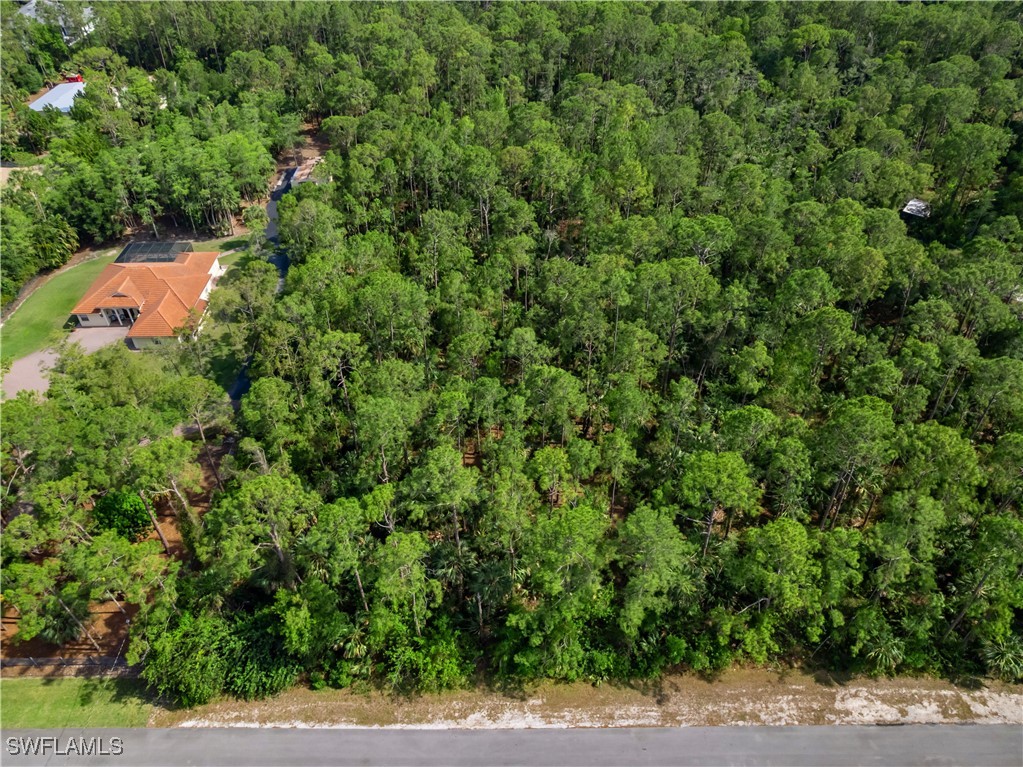 3rd Avenue Southwest Naples, FL 34117 - Photo 16 of 20 Gallery Image 16