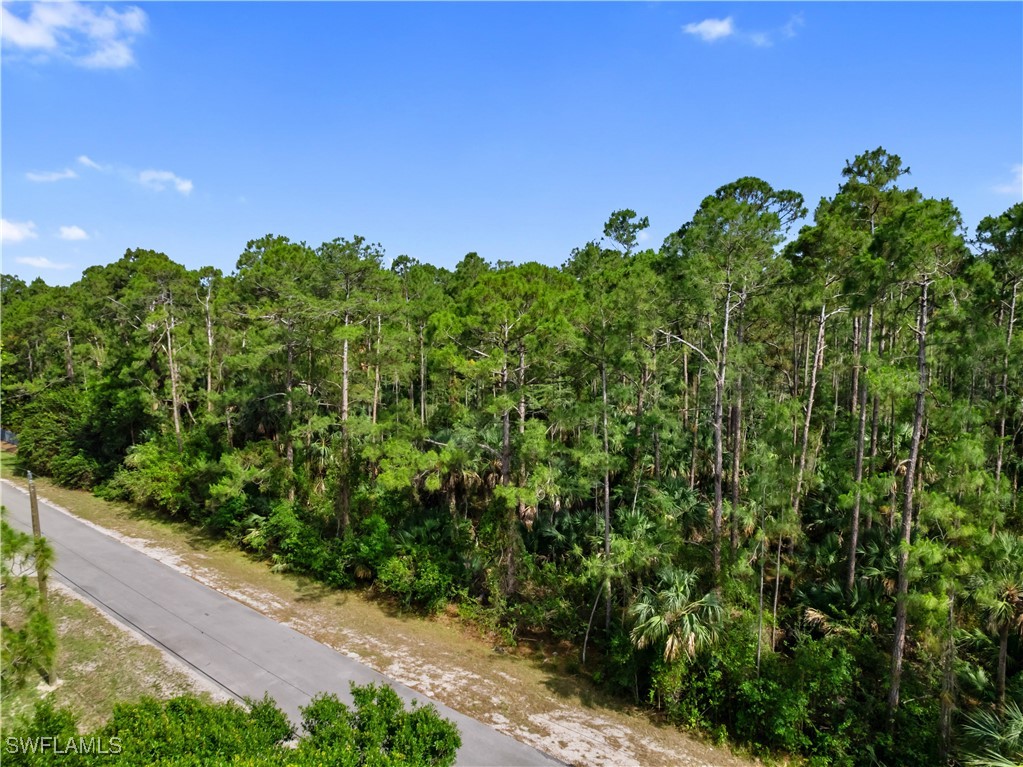 3rd Avenue Southwest Naples, FL 34117 - Photo 4 of 20 Gallery Image 4