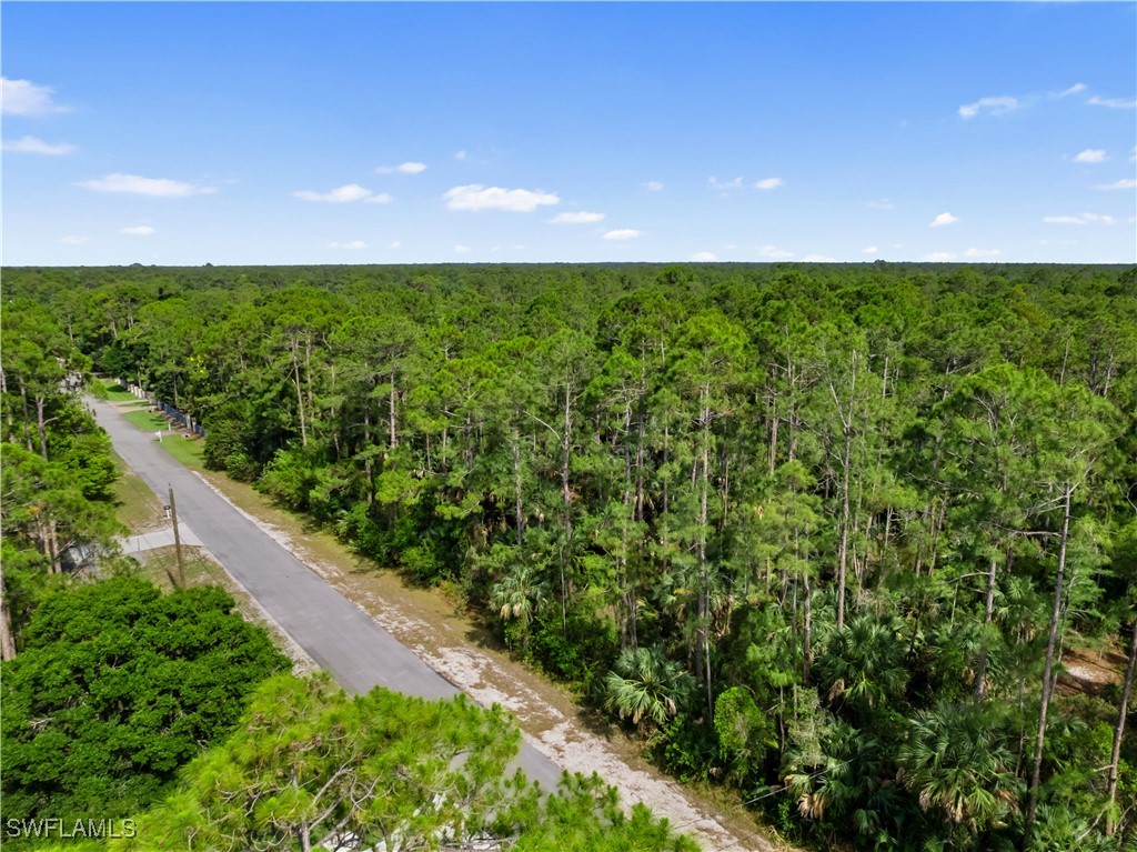 3rd Avenue Southwest Naples, FL 34117 - Photo 7 of 20 Gallery Image 7