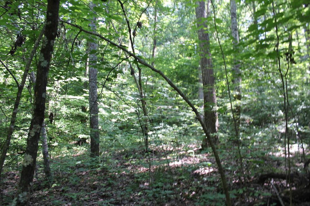 0 Mt Union Road Rutland, OH 45775 - Photo 11 of 48