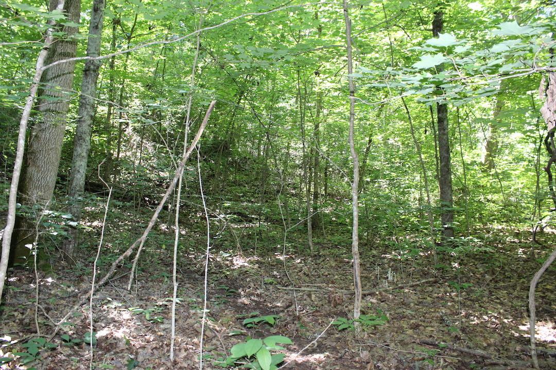 0 Mt Union Road Rutland, OH 45775 - Photo 12 of 48