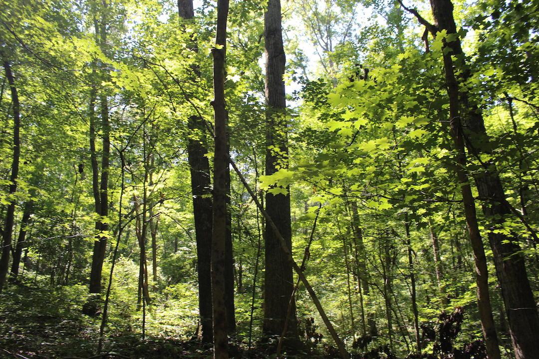 0 Mt Union Road Rutland, OH 45775 - Photo 13 of 48