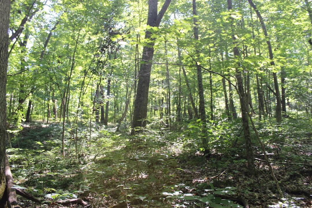 0 Mt Union Road Rutland, OH 45775 - Photo 14 of 48