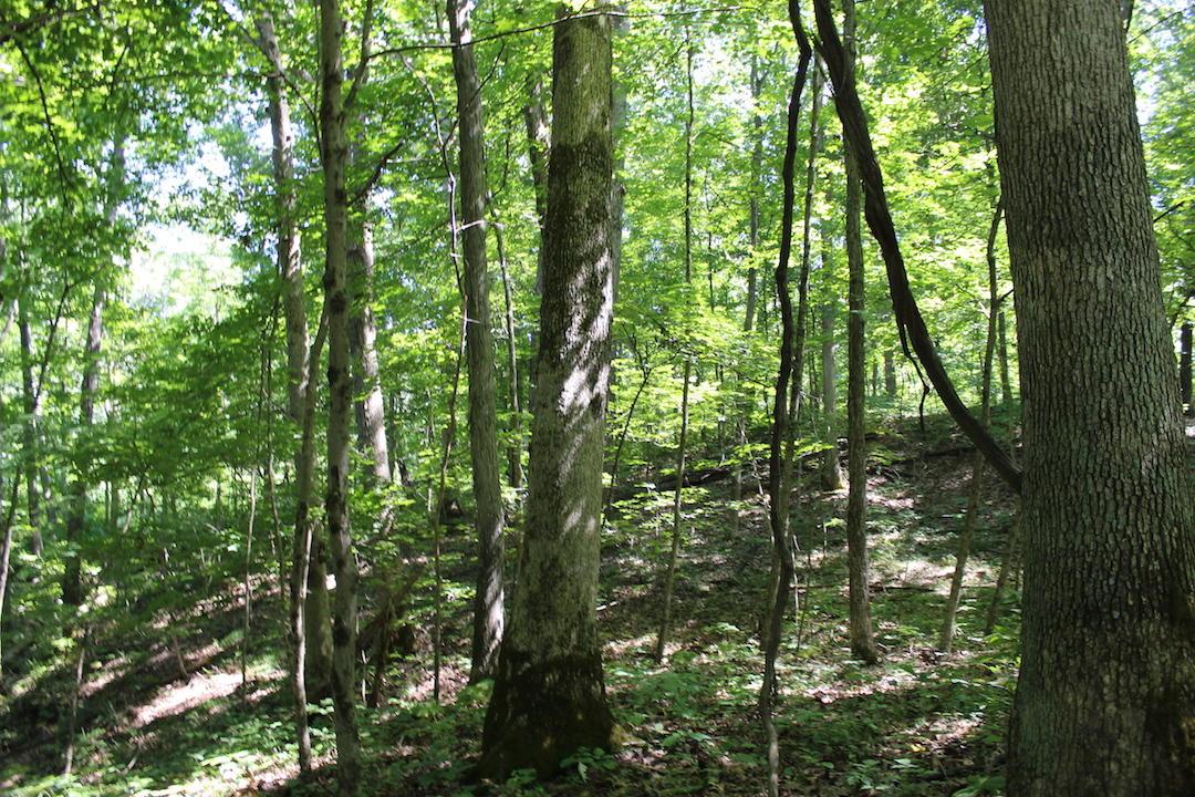 0 Mt Union Road Rutland, OH 45775 - Photo 15 of 48