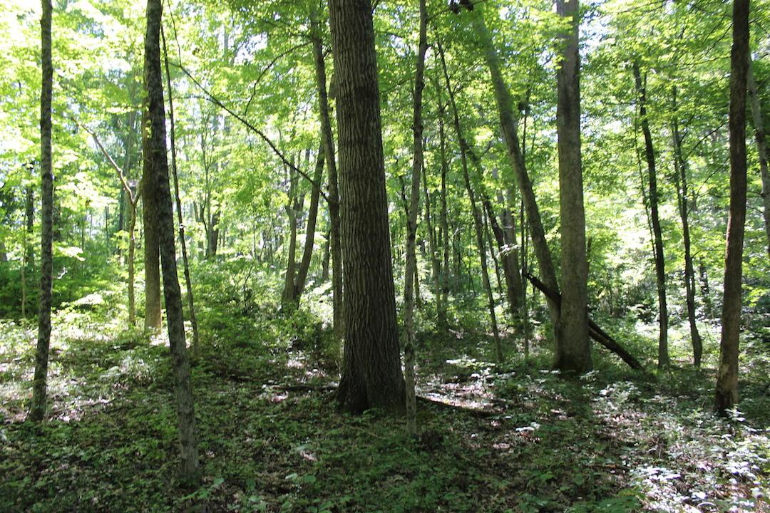 0 Mt Union Road Rutland, OH 45775 - Photo 17 of 48