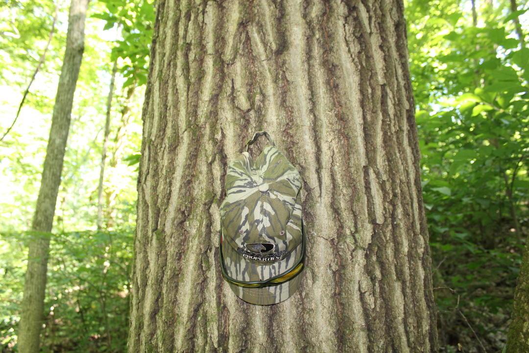 0 Mt Union Road Rutland, OH 45775 - Photo 18 of 48