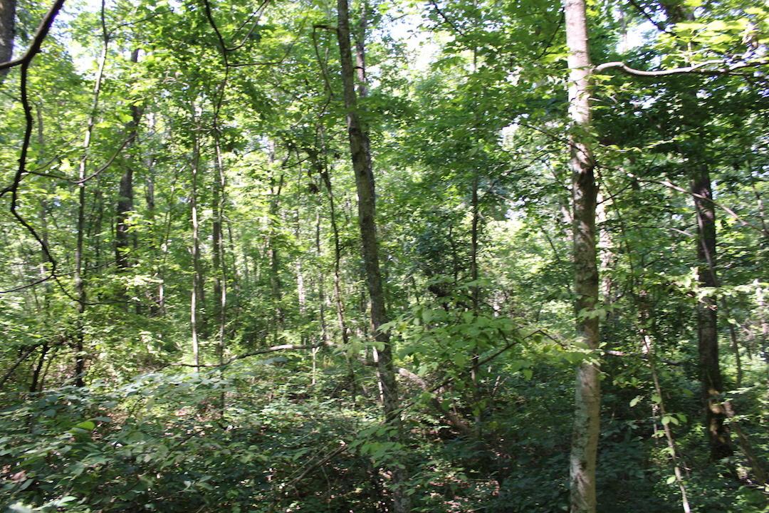0 Mt Union Road Rutland, OH 45775 - Photo 21 of 48