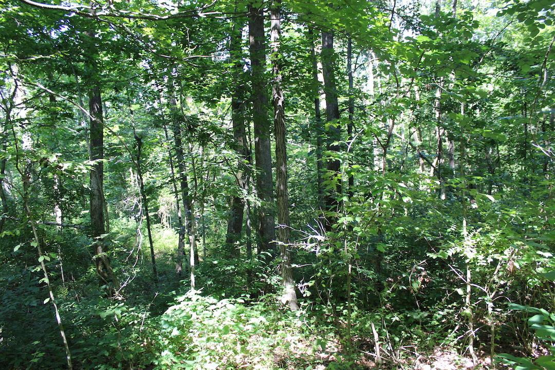 0 Mt Union Road Rutland, OH 45775 - Photo 22 of 48