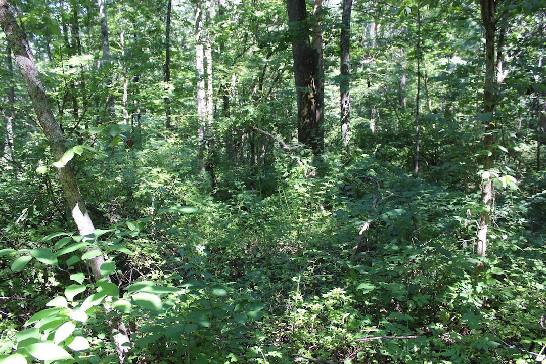 0 Mt Union Road Rutland, OH 45775 - Photo 23 of 48