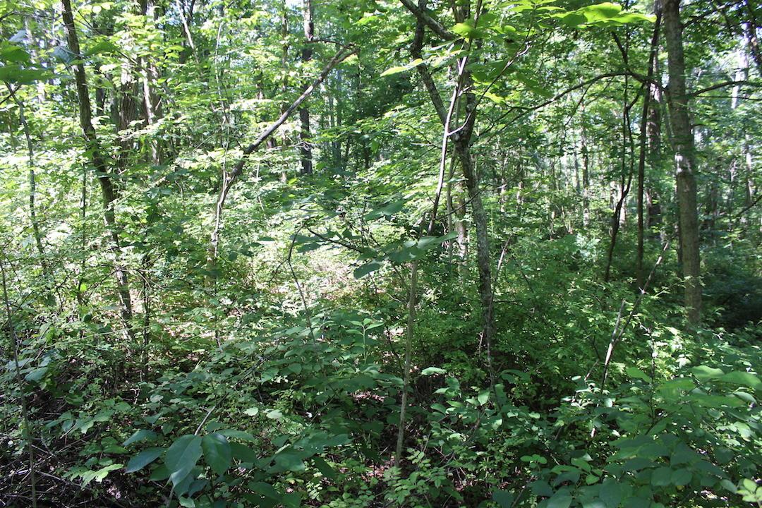 0 Mt Union Road Rutland, OH 45775 - Photo 24 of 48