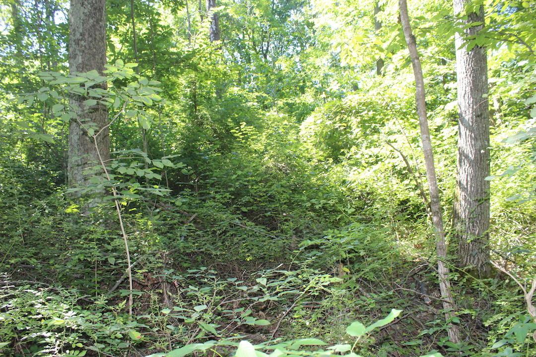 0 Mt Union Road Rutland, OH 45775 - Photo 25 of 48